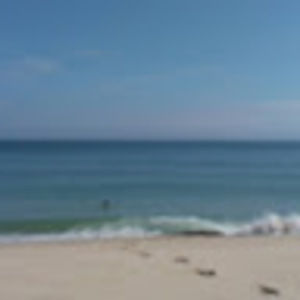 Meet your Posher, Moira